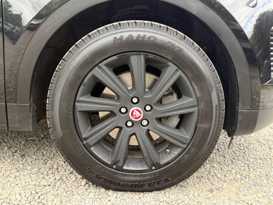 image_1